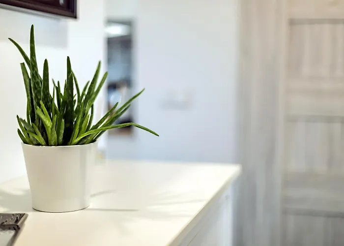 Pilsudskiego 80 - 4 Minuty Do Dworca Glownego Pkp Apartmán Vratislav